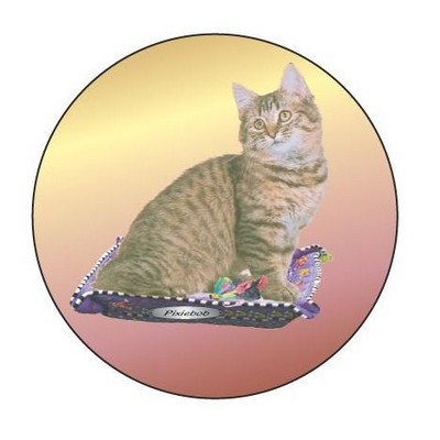 Pixiebob Cat Round Metal Photo Magnet (2 1/2")