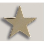 Stock Star Lapel Pin