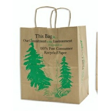 Natural Kraft Paper Shopping Bag (5-1/2"x3-1/4"x8-3/8")