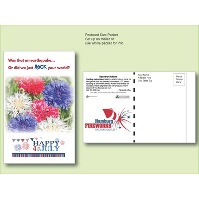 Bachelor Button Seed Packet - Postcard Mailer Size (4" x 6.5")