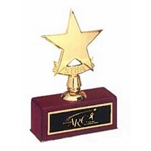 Constellation Polished Metal Gold-Tone Star Casting Award w/Rosewood Piano-Finish Base (5"x 7.5")