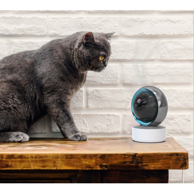 Smart Security Camera