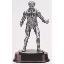 Male Wrestling Award