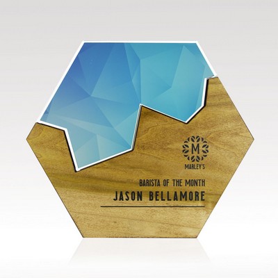 Hexagon Edge Puzzle Award