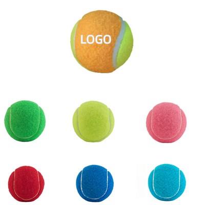 Pet Fetch Toy Tennis Ball