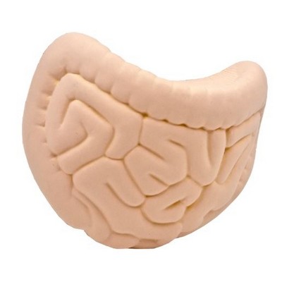 Intestines Stress Reliever Squeeze Toy