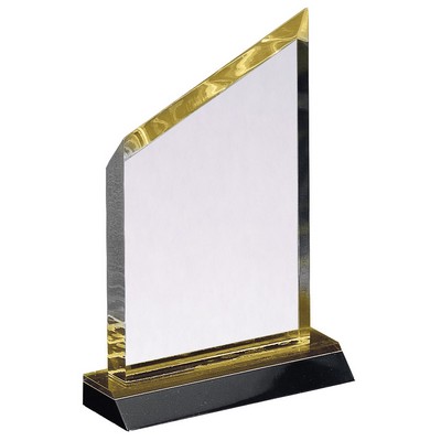 Gold Newberry Wedge Acrylic Award 7"H