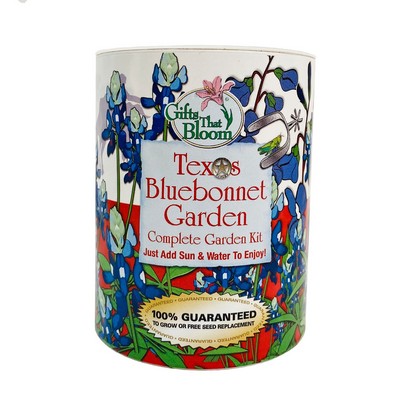 Texas Bluebonnet Garden in Eco-Friendly Grocan