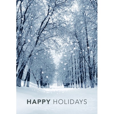 Snowy Winter Path Holiday Greeting Cards