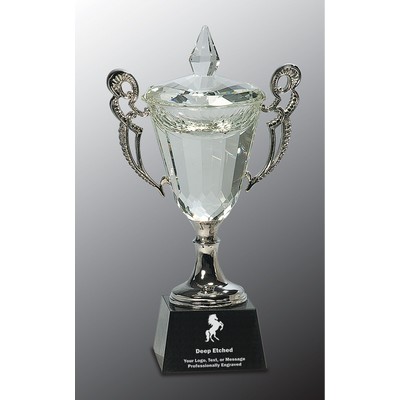 11 1/4" Crystal Cup with Silver Handles and Stem Crystal Award