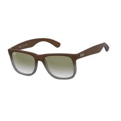 Ray-Ban Justin Sunglasses