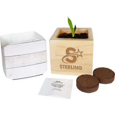 Wooden Cube Grow Kit Planter