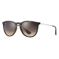 Ray-Ban Erika Classic Sunglasses