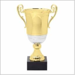 16" Gold Metal Cup Winner Award