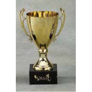 9½" Trophy Cup