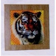 6"x6" Blank Undecorated Coated Ceramic Photo Tile