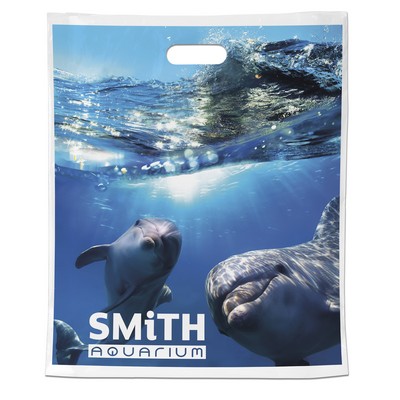 15W x 18H x 4 Die Cut Bag - Digital Full Color