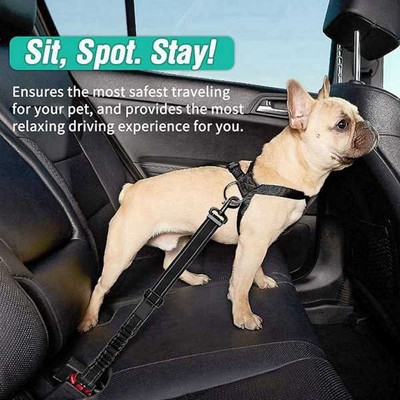 DOG SEAT BELT w/Bowl