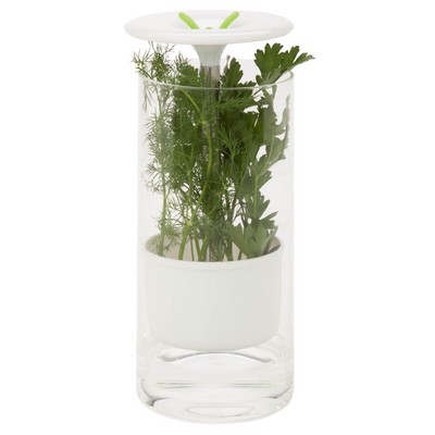 Honey-Can-Do Glass Herb Preserver