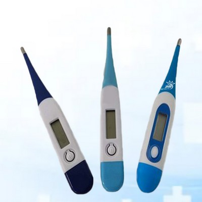 Electronic Thermometer