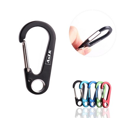 Mini Carabiner Keychains