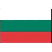 3'x5' Bulgaria U.N. Nylon Outdoor Flag - Style A