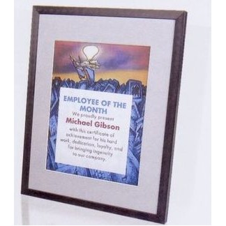 Aluminum Certificate Frame Assorted Colors - 11x14