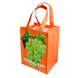 Non Woven Wine Bag