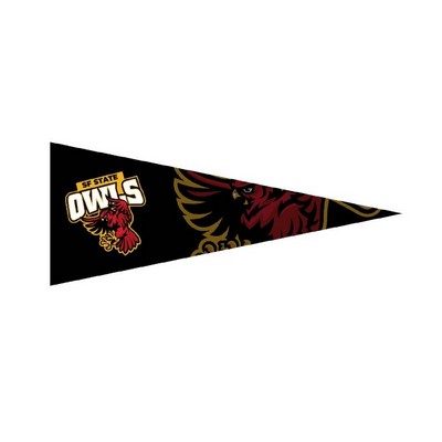 12" x 30" Full Color Felt Pennant Flag Banner