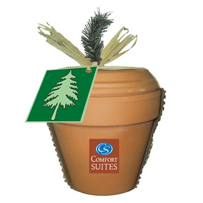 Deluxe Plant Kit w/Pine/Blue Spruce Seeds