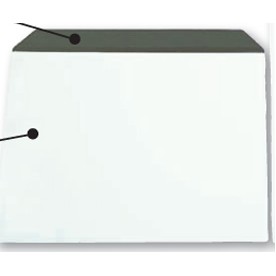 9 1/4 x 13 5/8" Car Identification Envelope in Clear Vinyl