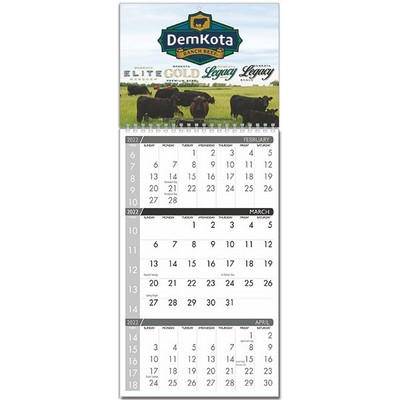 3 Month At A Glance Wall Calendar (11"x25 1/2")