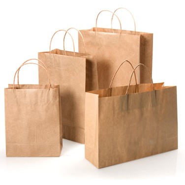 Brown Kraft Paper Bag w/Twisted Paper Handles (13"x7"x17")