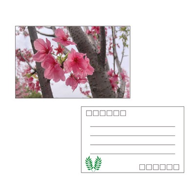 Custom Postcard MOQ 200PCS