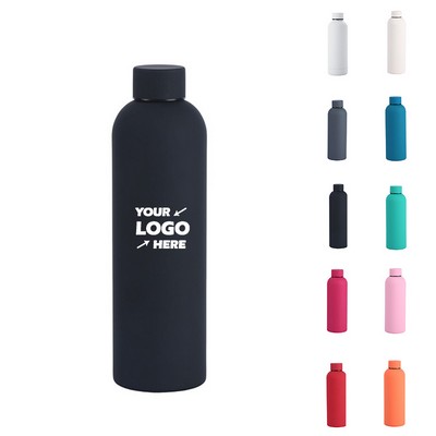 Insulated Stainless Steel Bottle