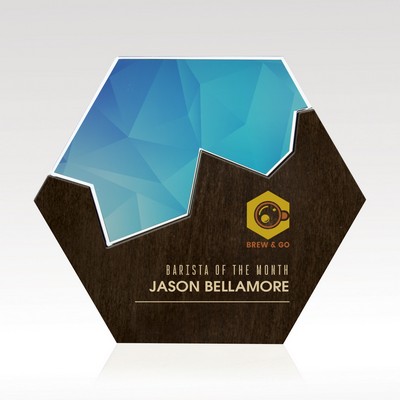 Hexagon Edge Puzzle Award