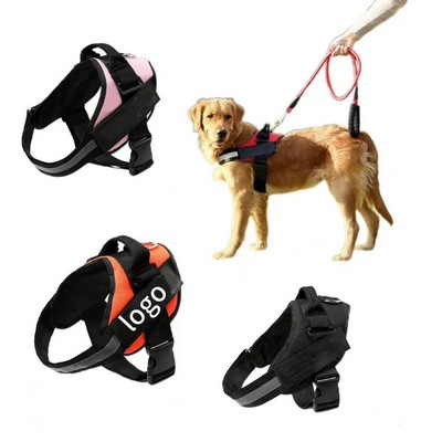 Pet Harness