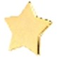 Large Star Stock Lapel Pin (3/4")