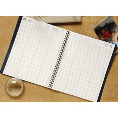 Professional Group Appointment Planner (8-1/2"x11")