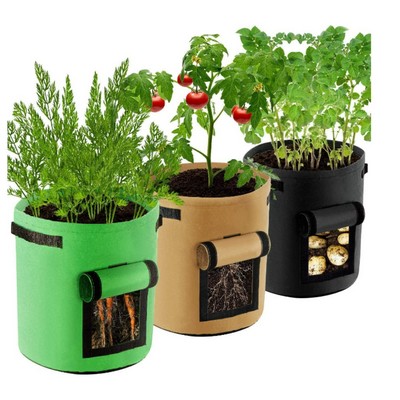 Vegetables Growing Pots