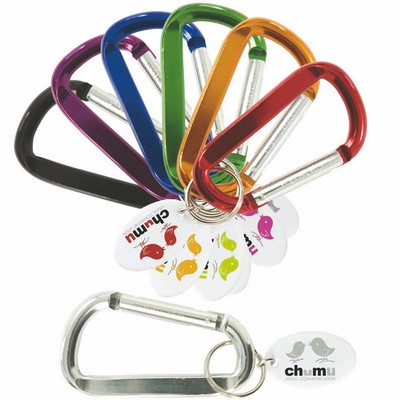 Carabiner Keytag