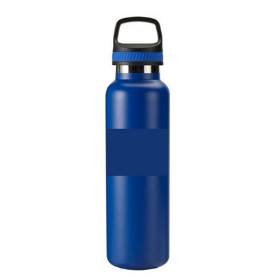 20 Oz. Stainless Steel Water Bottle