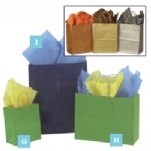 Kraft Metallic Paper Bag (I)