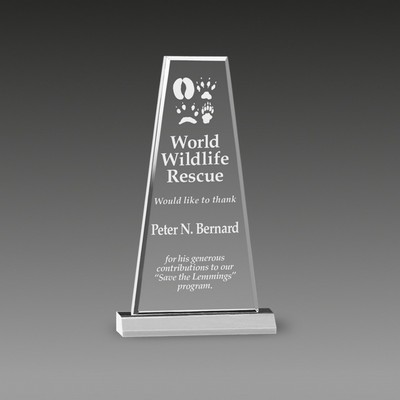 Premium Prism Award (6"x10¾")