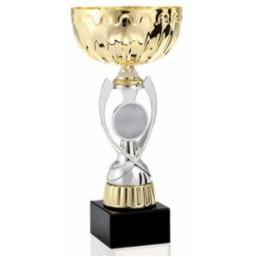 12" Assembled Silver/Gold Cup Trophy