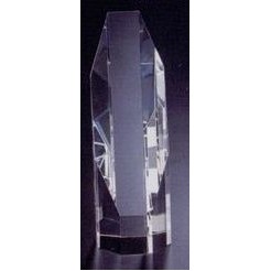 Crystal Octagon Tower Award