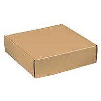 Kraft Presentation Corrugated Mailer Box (12"x9"x3")