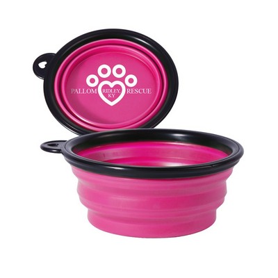 Small Collapsible Pet Bowl