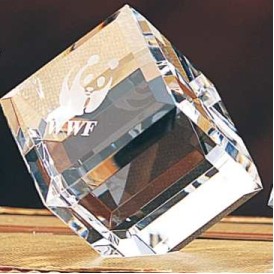 Standing Beveled Cube Award (2-3/8"x2-3/8")