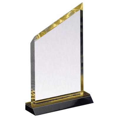 Gold Newberry Wedge Acrylic Award 9"H